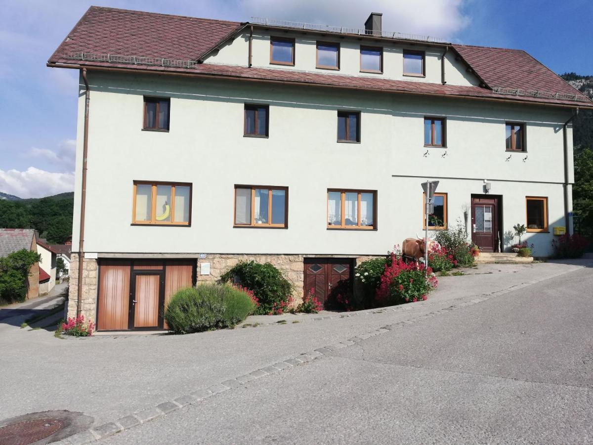 Apartment 43 Oberhoflein エクステリア 写真